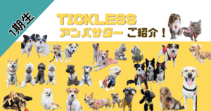 チックレスアンバサダー小