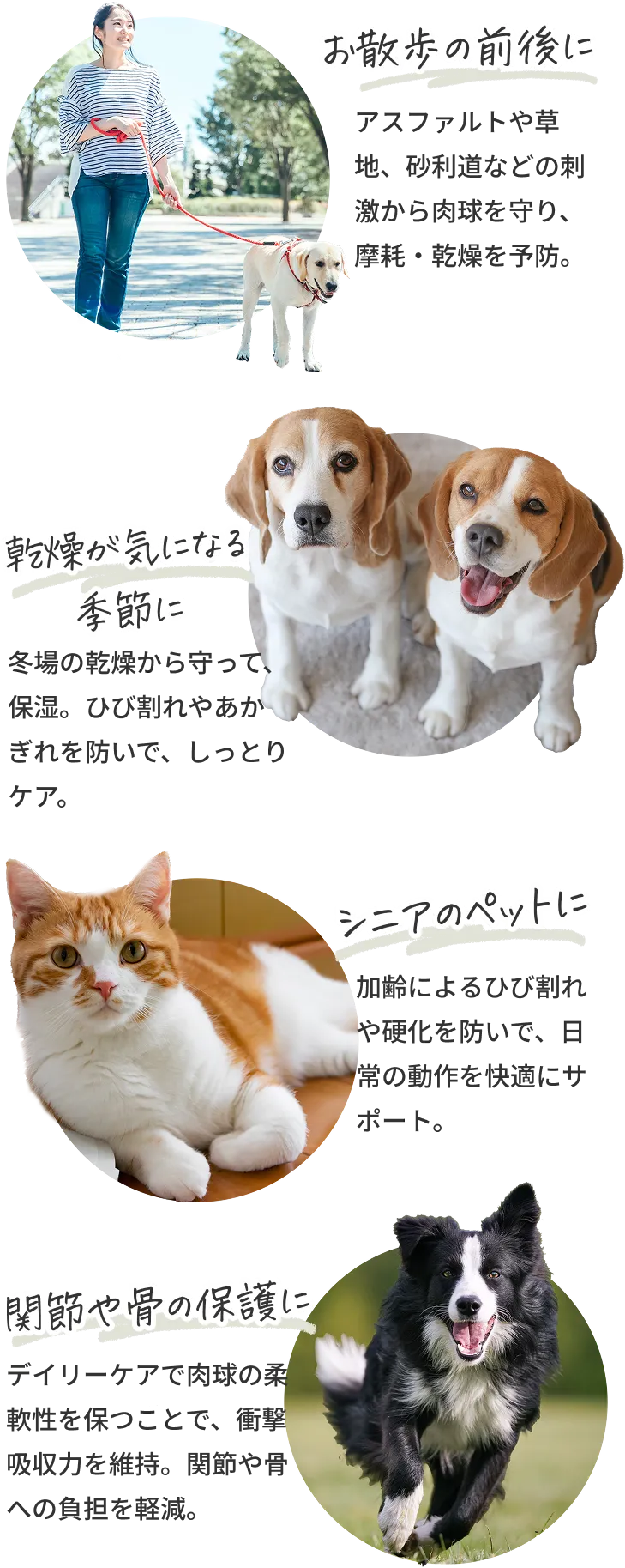 お散歩の前後に/乾燥が気になる季節に/シニアのペットに/関節や骨の保護に