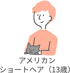 アメリカンショートヘア（13歳）