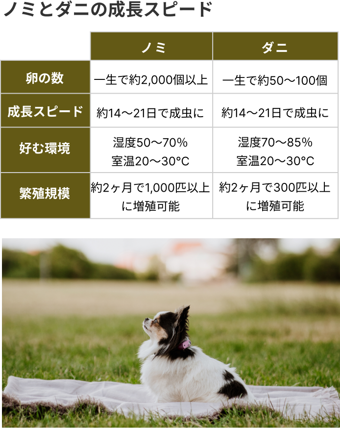 ノミとダニの成長スピード