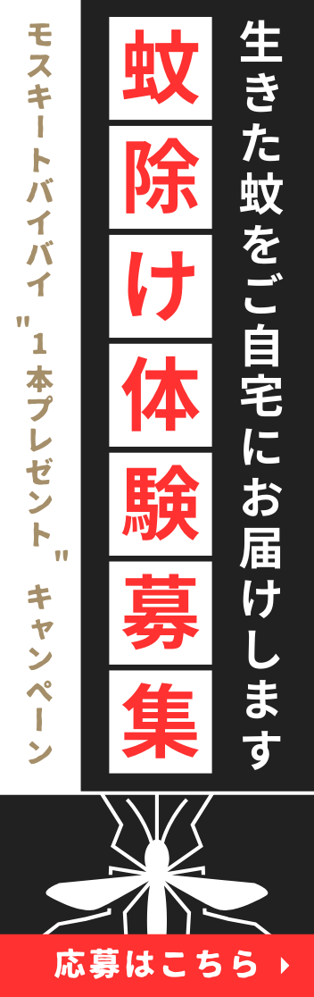 公式限定 3点SET チックレスグッズプレゼント！無くなり次第終了！