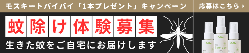 公式限定 3点SET チックレスグッズプレゼント！無くなり次第終了！