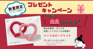 口コミ投稿　キャンペーン　小